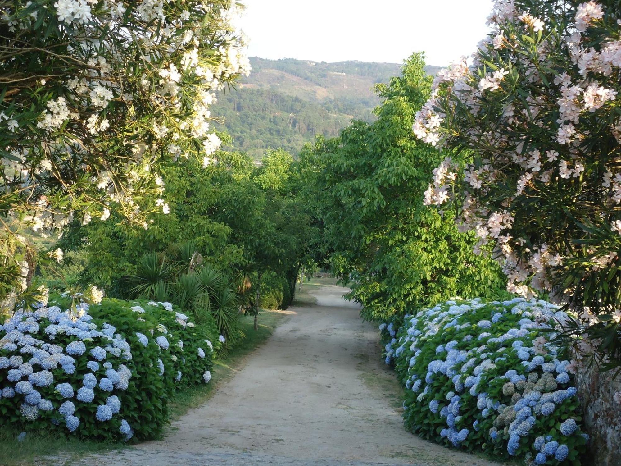 Quinta De Luou *